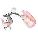 12.webp